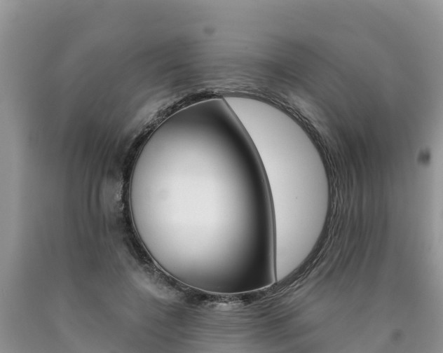 X0000090780548200707201137