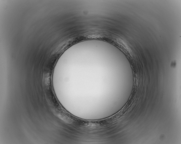 X0000090780549200707201137