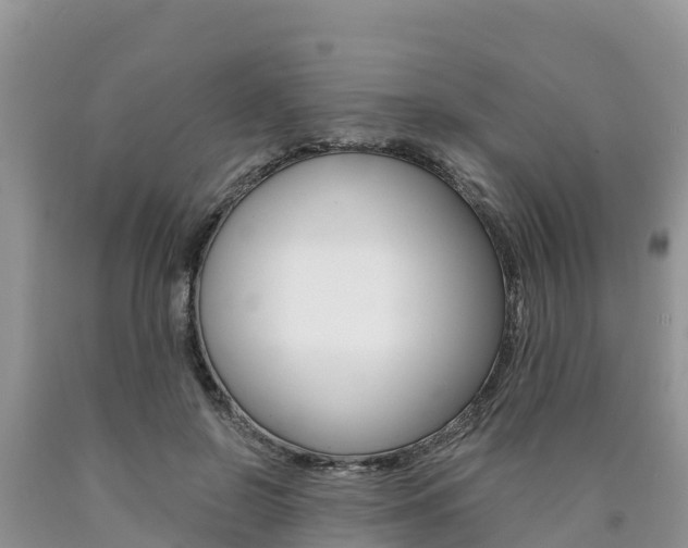 X0000090780550200707201137
