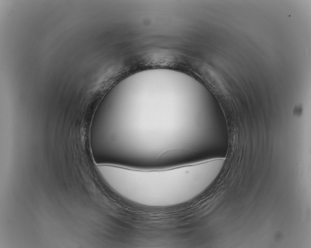 X0000090780551200707201137