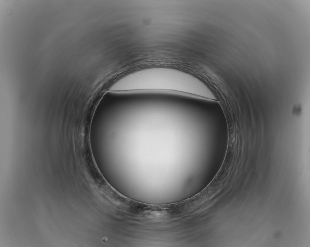 X0000090780552200707201137