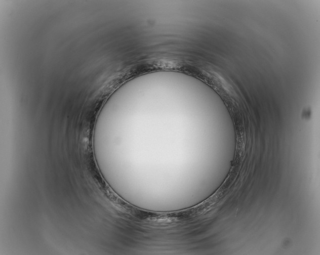 X0000090780553200707201137
