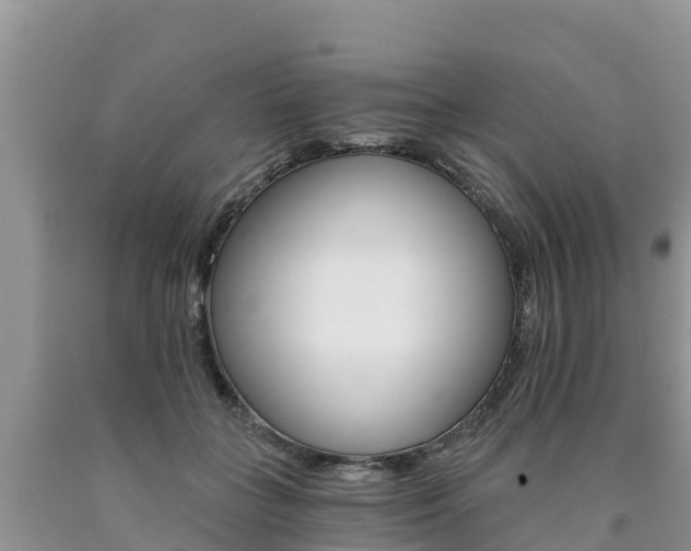 X0000090780555200707201137