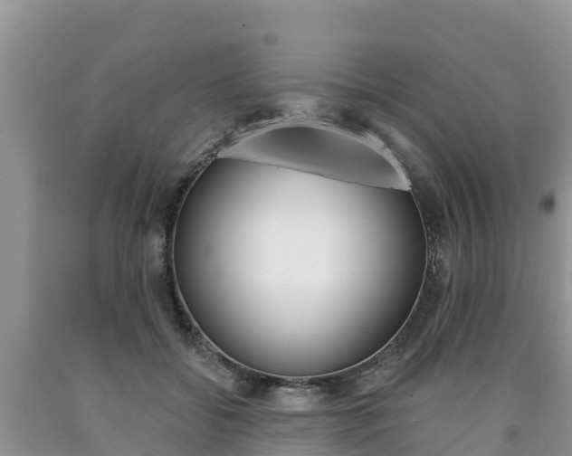 X0000090780556200707201137