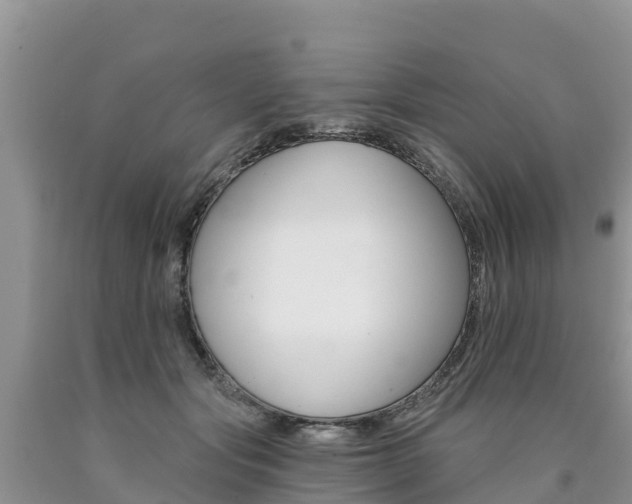 X0000090780557200707201137