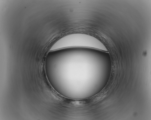 X0000090780558200707201137