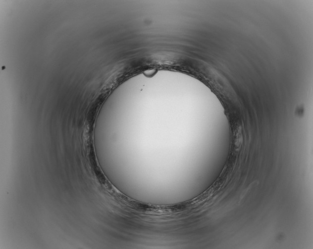 X0000090780559200707201137