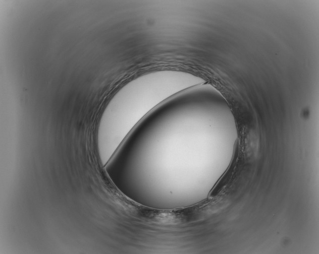 X0000090780562200707201137