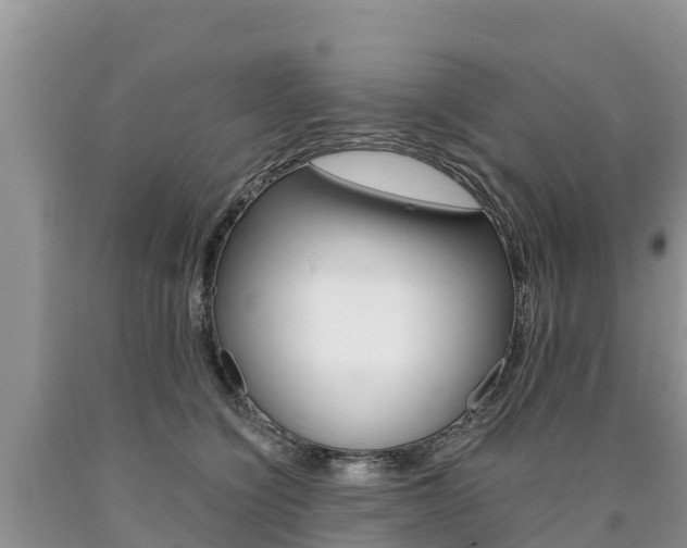 X0000090780564200707201137