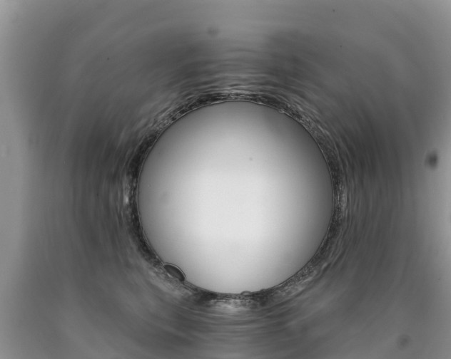 X0000090780567200707201137