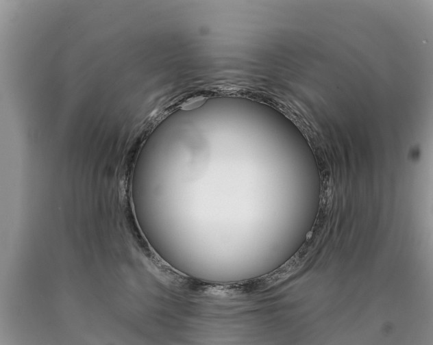 X0000090780568200707201137