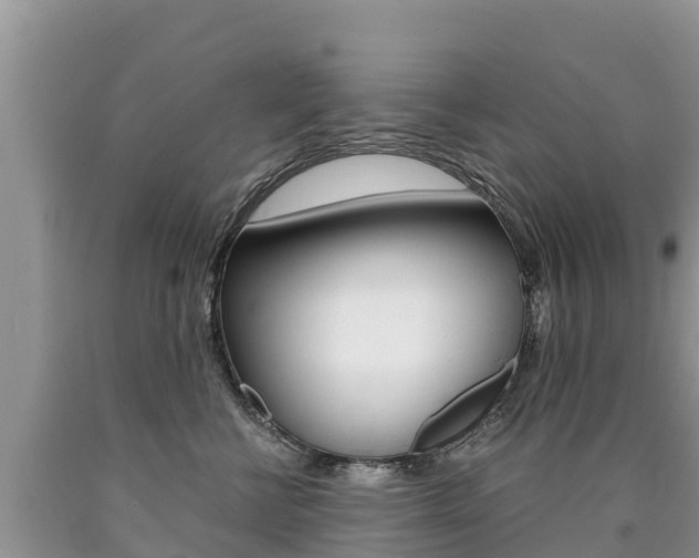 X0000090780570200707201137