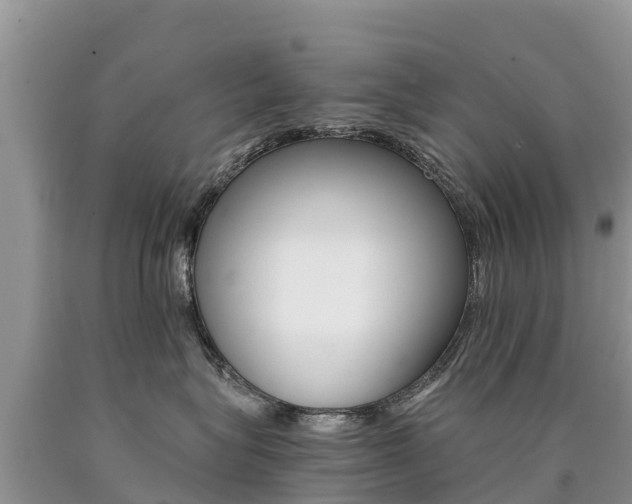 X0000090780575200707201137