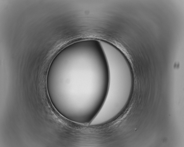 X0000090780577200707201136