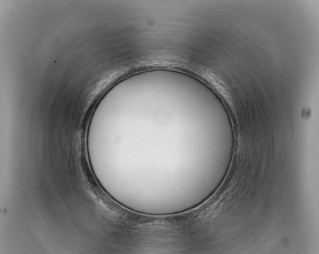 X0000090780578200707201136