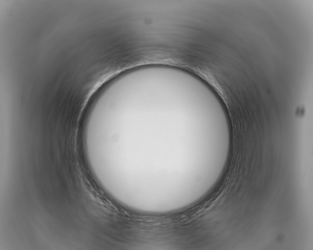 X0000090780579200707201136
