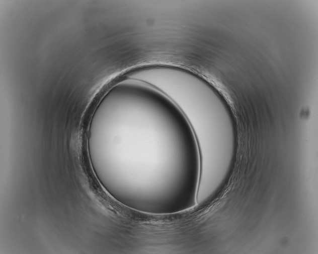 X0000090780580200707201136