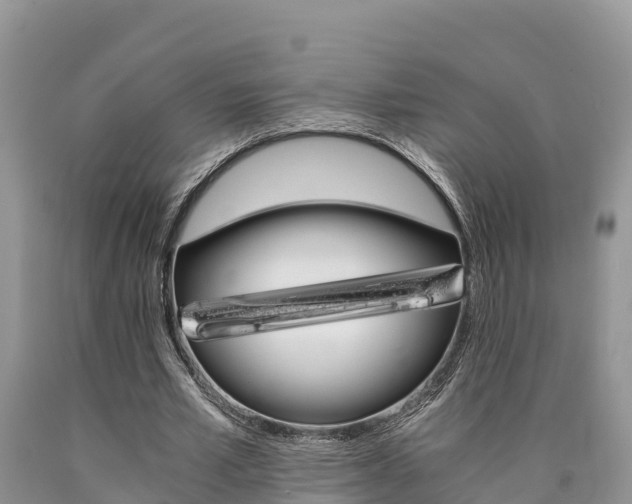 X0000090780581200707201136