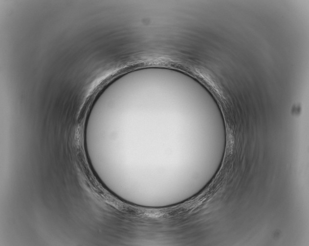 X0000090780583200707201136