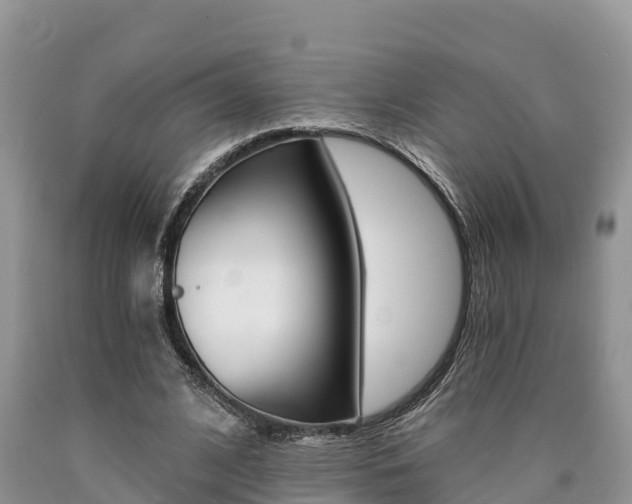 X0000090780584200707201136