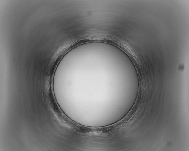 X0000090780586200707201136