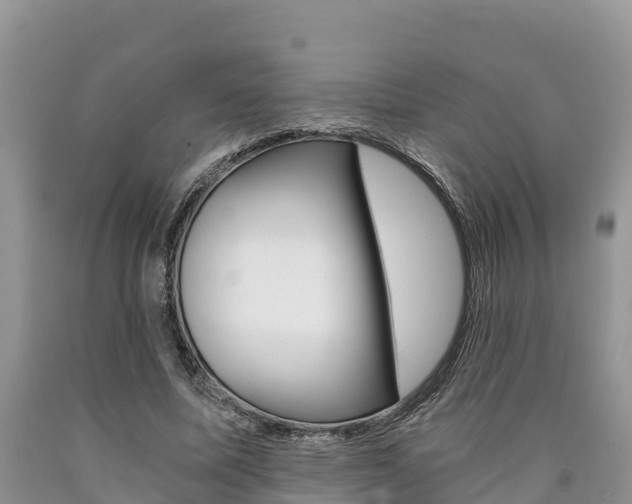 X0000090780587200707201136