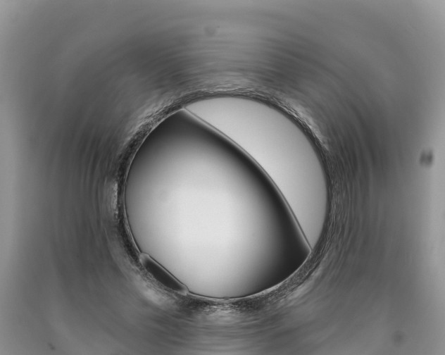 X0000090780589200707201136