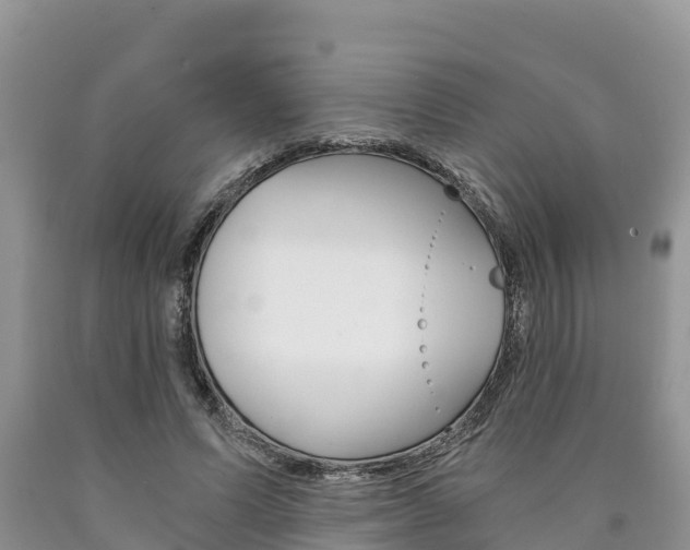 X0000090780591200707201136