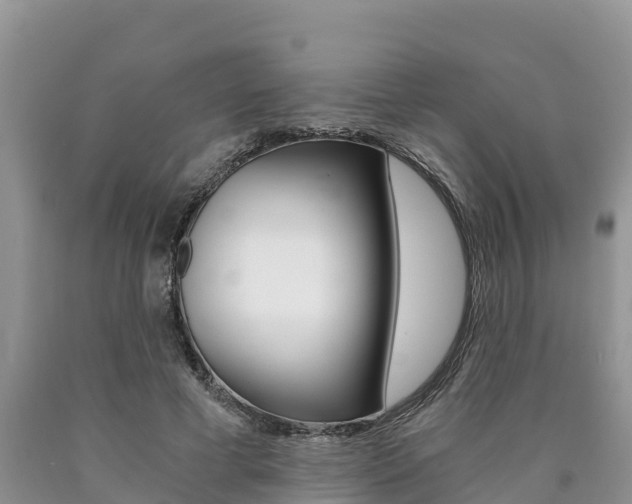 X0000090780593200707201136