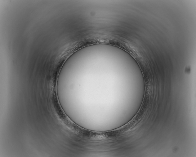X0000090780594200707201136