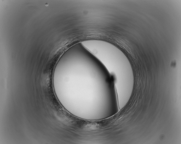 X0000090780595200707201136