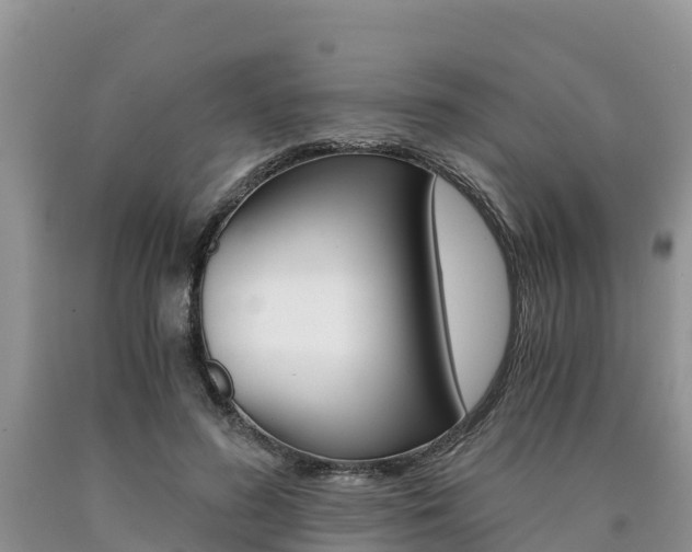 X0000090780596200707201136