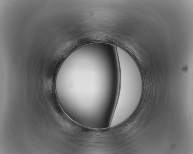 X0000090780597200707201136