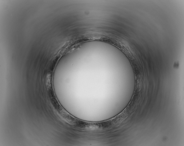 X0000090780598200707201136