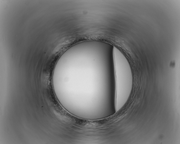 X0000090780599200707201136