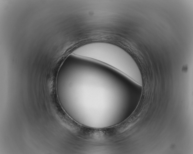 X0000090780600200707201136