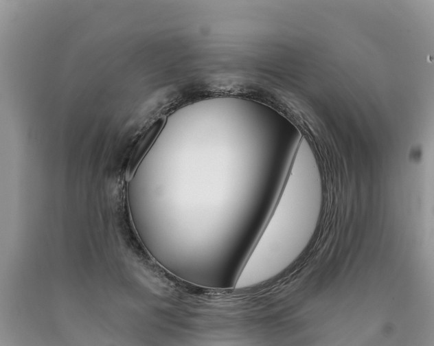 X0000090780601200707201136