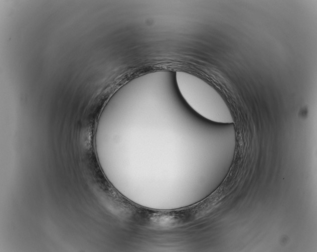 X0000090780602200707201136