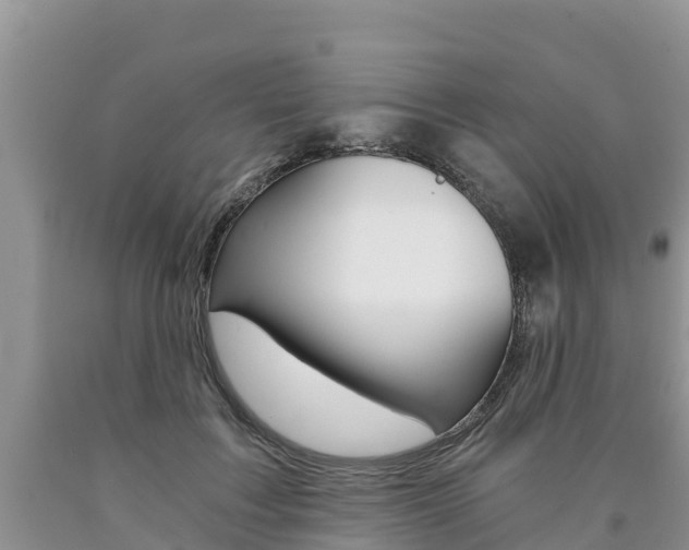 X0000090780603200707201136