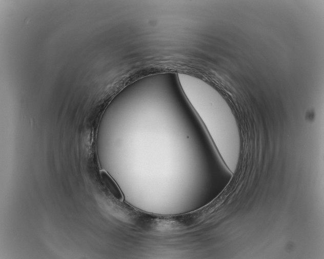 X0000090780605200707201136