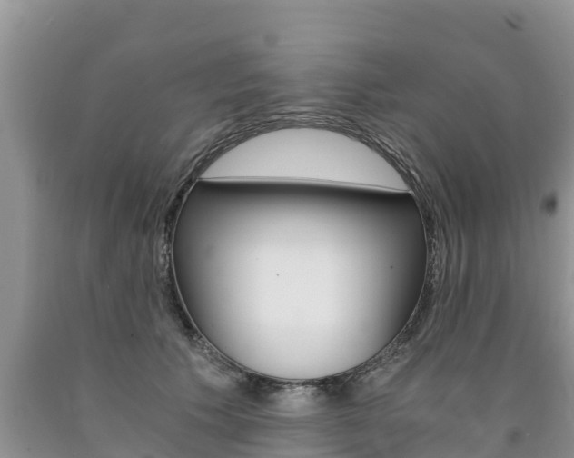 X0000090780609200707201136