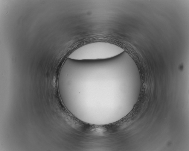 X0000090780610200707201136