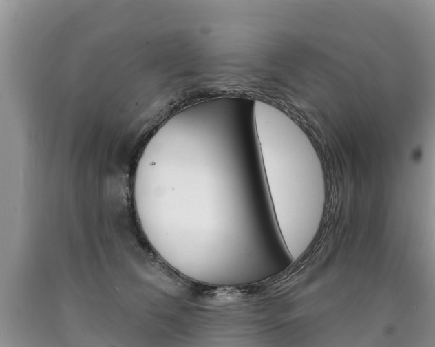 X0000090780612200707201136