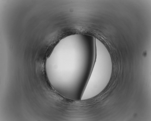 X0000090780613200707201136