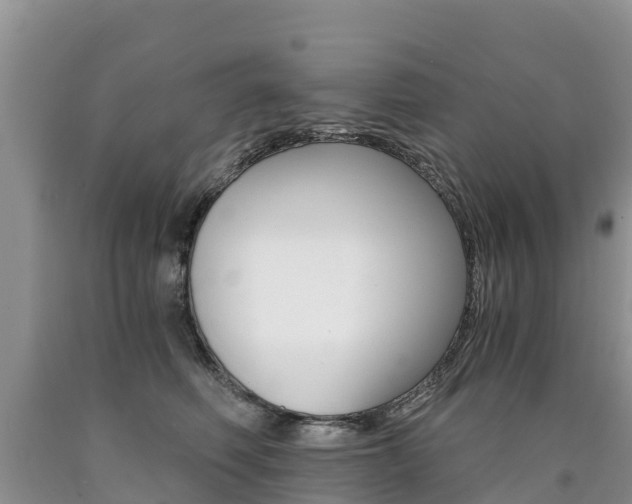 X0000090780614200707201136