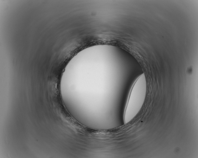 X0000090780615200707201136