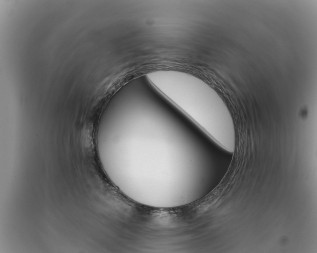 X0000090780616200707201136