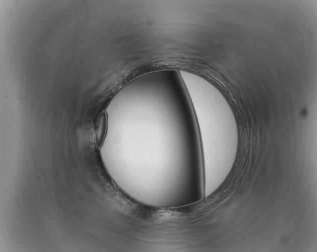 X0000090780617200707201136