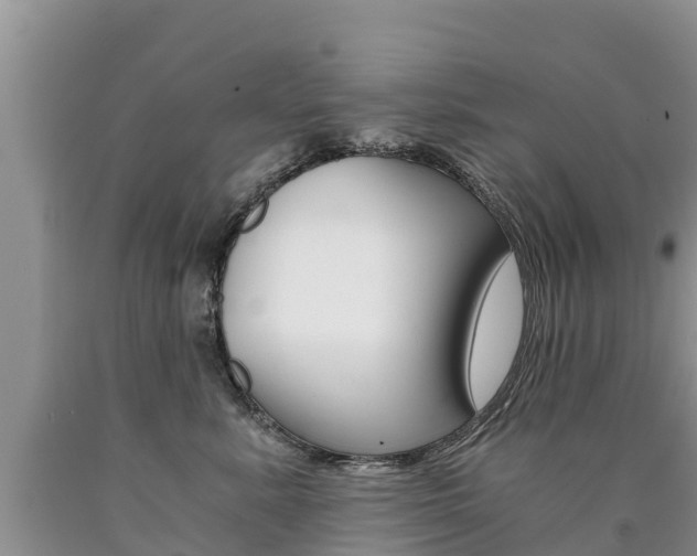 X0000090780619200707201136
