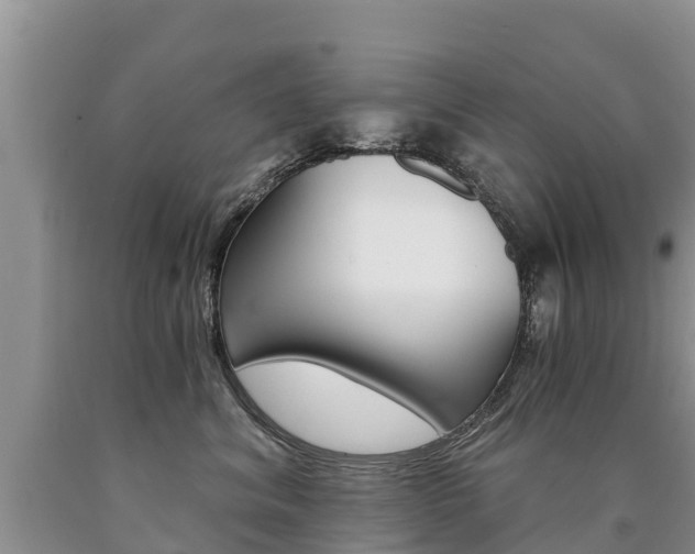 X0000090780620200707201136